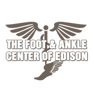 The Foot and Ankle Institute of Edison Logo