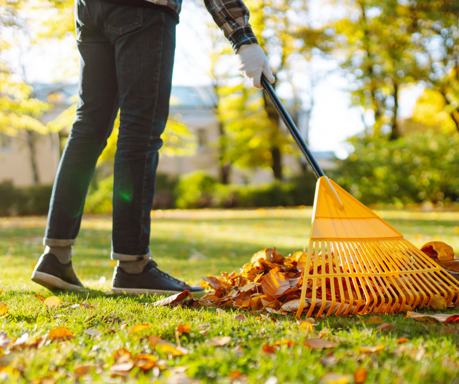 person raking leaves in the fall